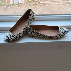 Steve Madden leopard shoes
